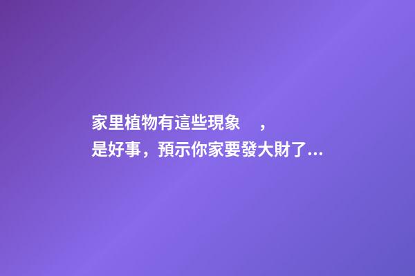 家里植物有這些現象，是好事，預示你家要發大財了！